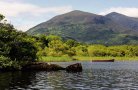 Dingle